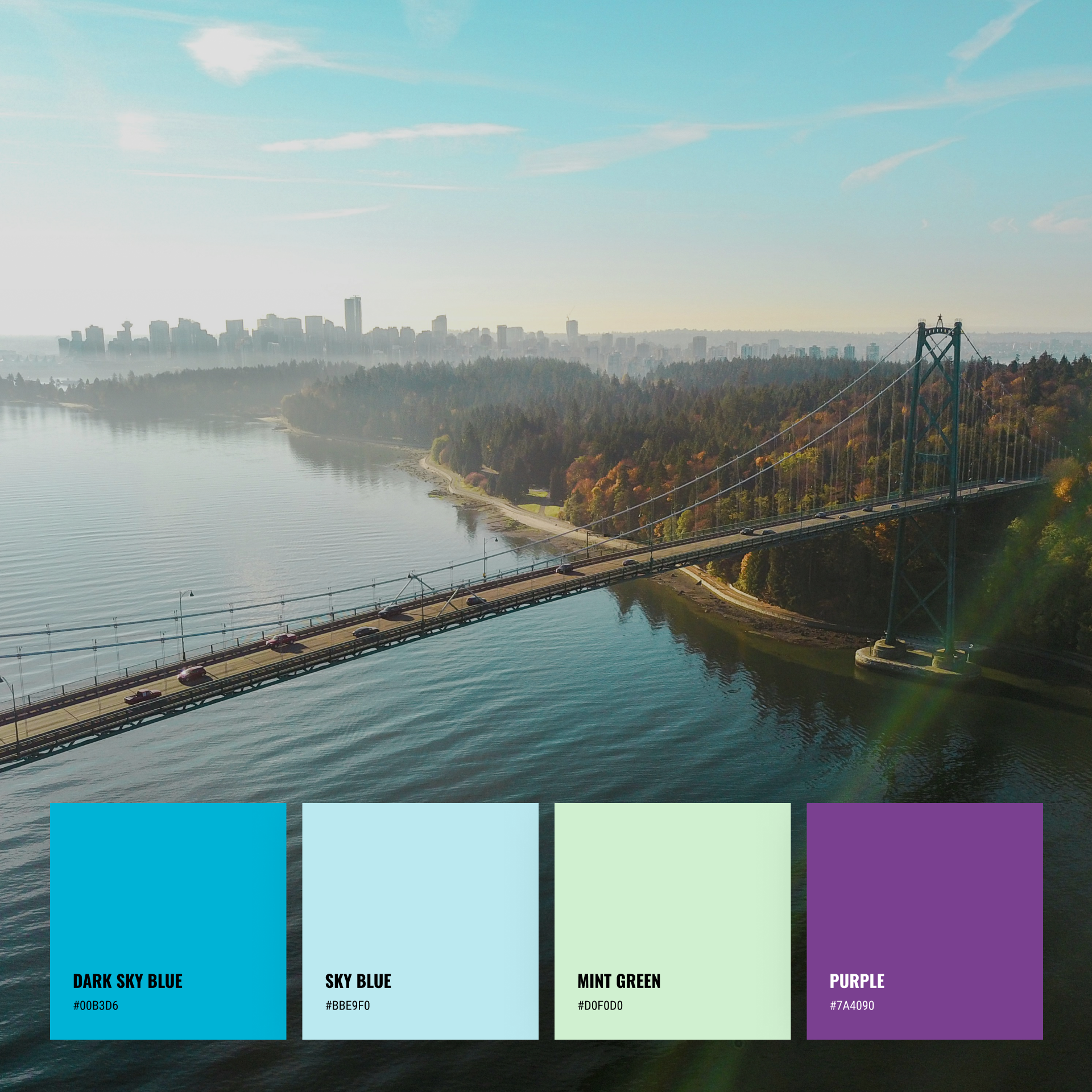 BC Transit's new secondary colour swatches: dark sky blue, sky blue, mint green, and purple
