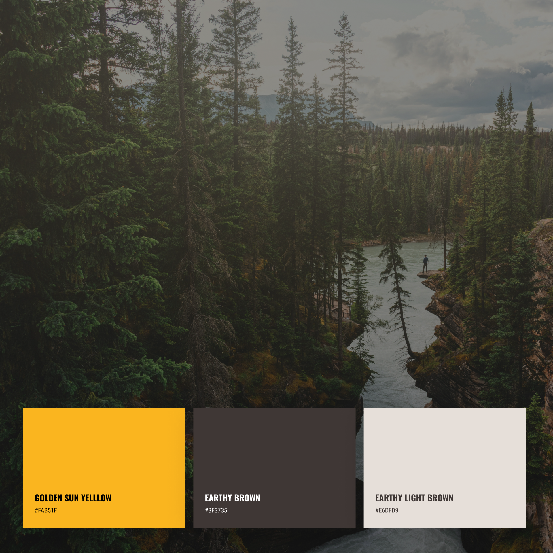 The Clubhouse colour swatches: golden sun yellow, earthy brown, and earthy light brown